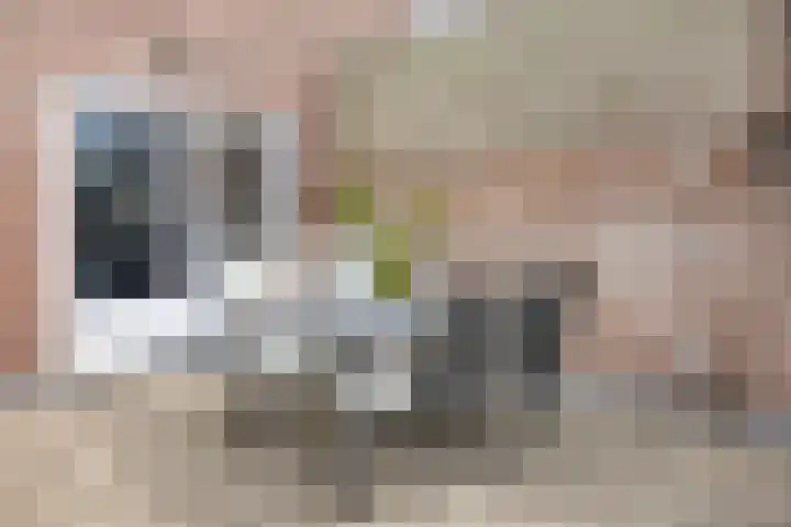 Bredalaan 55 Eindhoven thumbnail 28