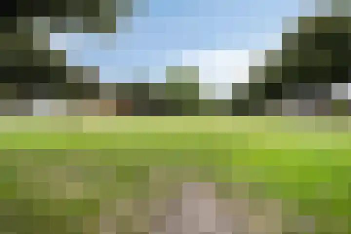 Bredalaan 55 Eindhoven thumbnail 29