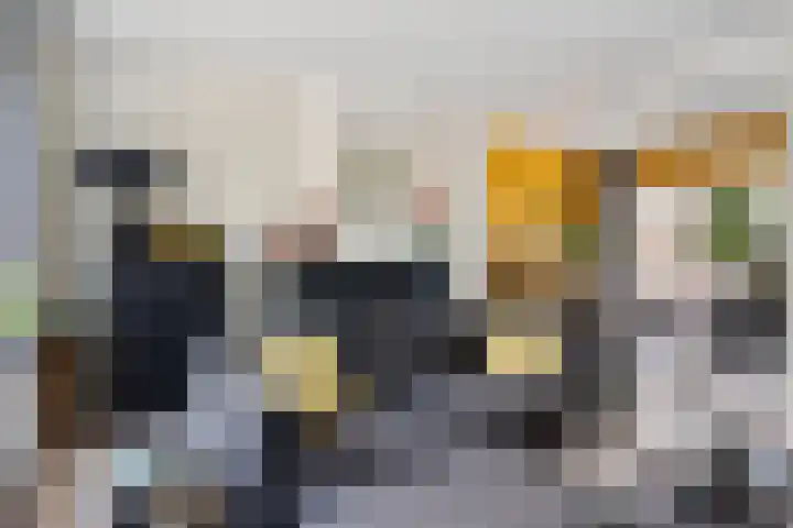 Bredalaan 55 Eindhoven thumbnail 9