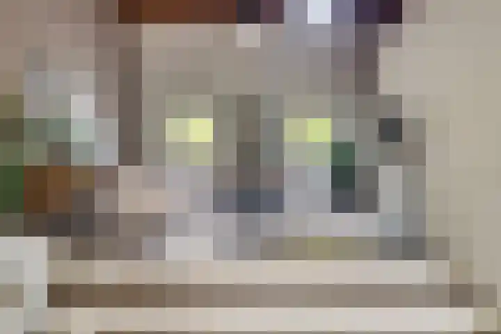 Bredalaan 57 A Eindhoven thumbnail 10