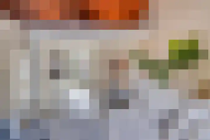 Bredalaan 57 A Eindhoven thumbnail 15