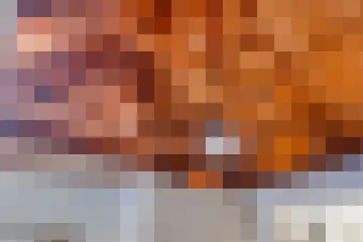 Bredalaan 57 A Eindhoven thumbnail 16
