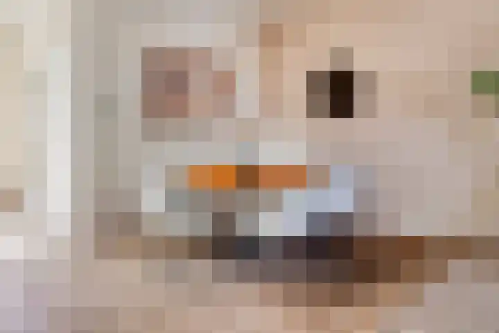 Bredalaan 57 A Eindhoven thumbnail 17