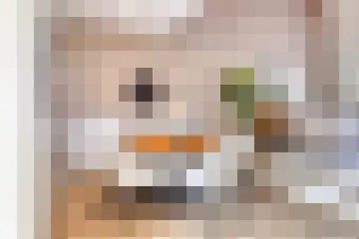 Bredalaan 57 A Eindhoven thumbnail 18