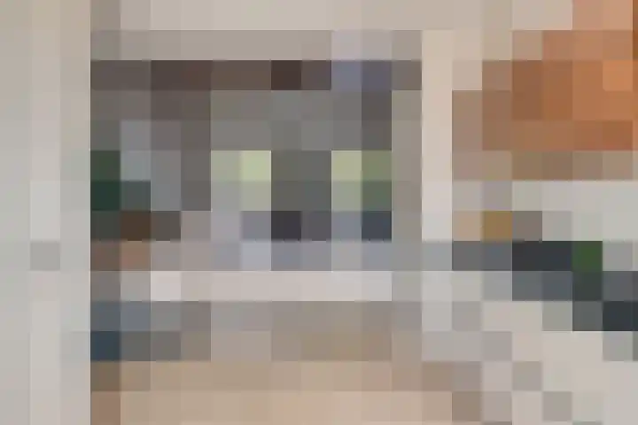 Bredalaan 57 A Eindhoven thumbnail 19