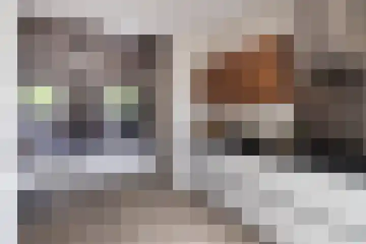 Bredalaan 57 A Eindhoven thumbnail 20