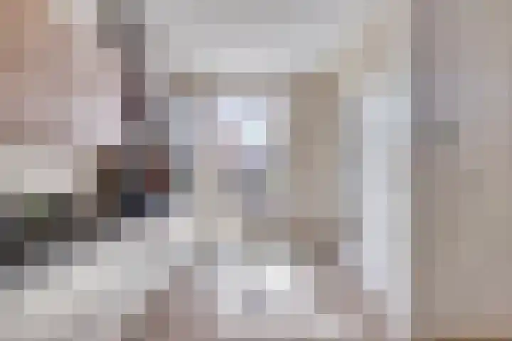 Bredalaan 57 A Eindhoven thumbnail 22