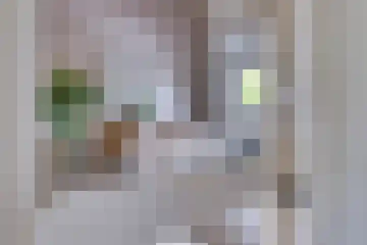 Bredalaan 57 A Eindhoven thumbnail 23