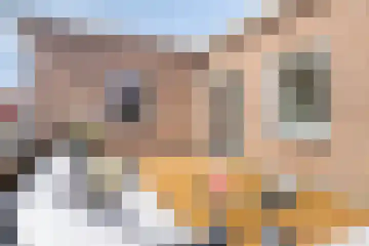 Bredalaan 57 A Eindhoven thumbnail 27