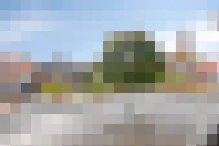 Bredalaan 57 A Eindhoven thumbnail 28
