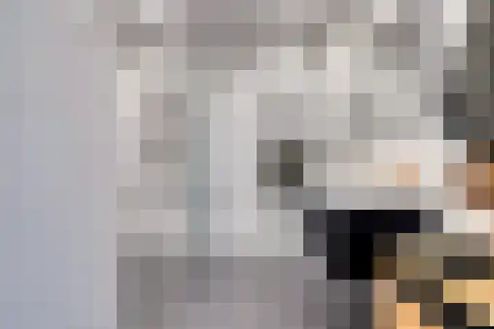 Bredalaan 57 A Eindhoven thumbnail 33