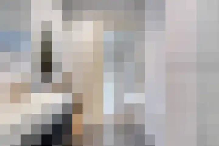 Bredalaan 57 A Eindhoven thumbnail 34