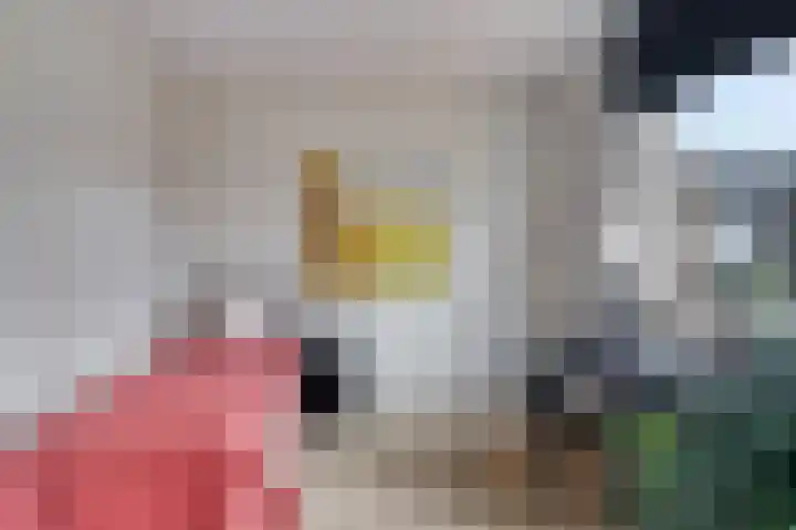 Bredalaan 57 A Eindhoven thumbnail 37