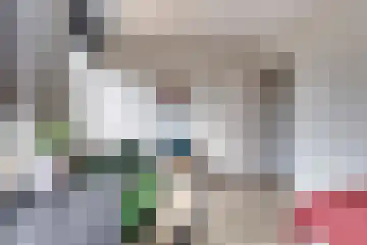 Bredalaan 57 A Eindhoven thumbnail 38