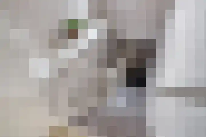 Bredalaan 57 A Eindhoven thumbnail 7