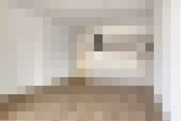 Bredalaan 57 B Eindhoven thumbnail 10
