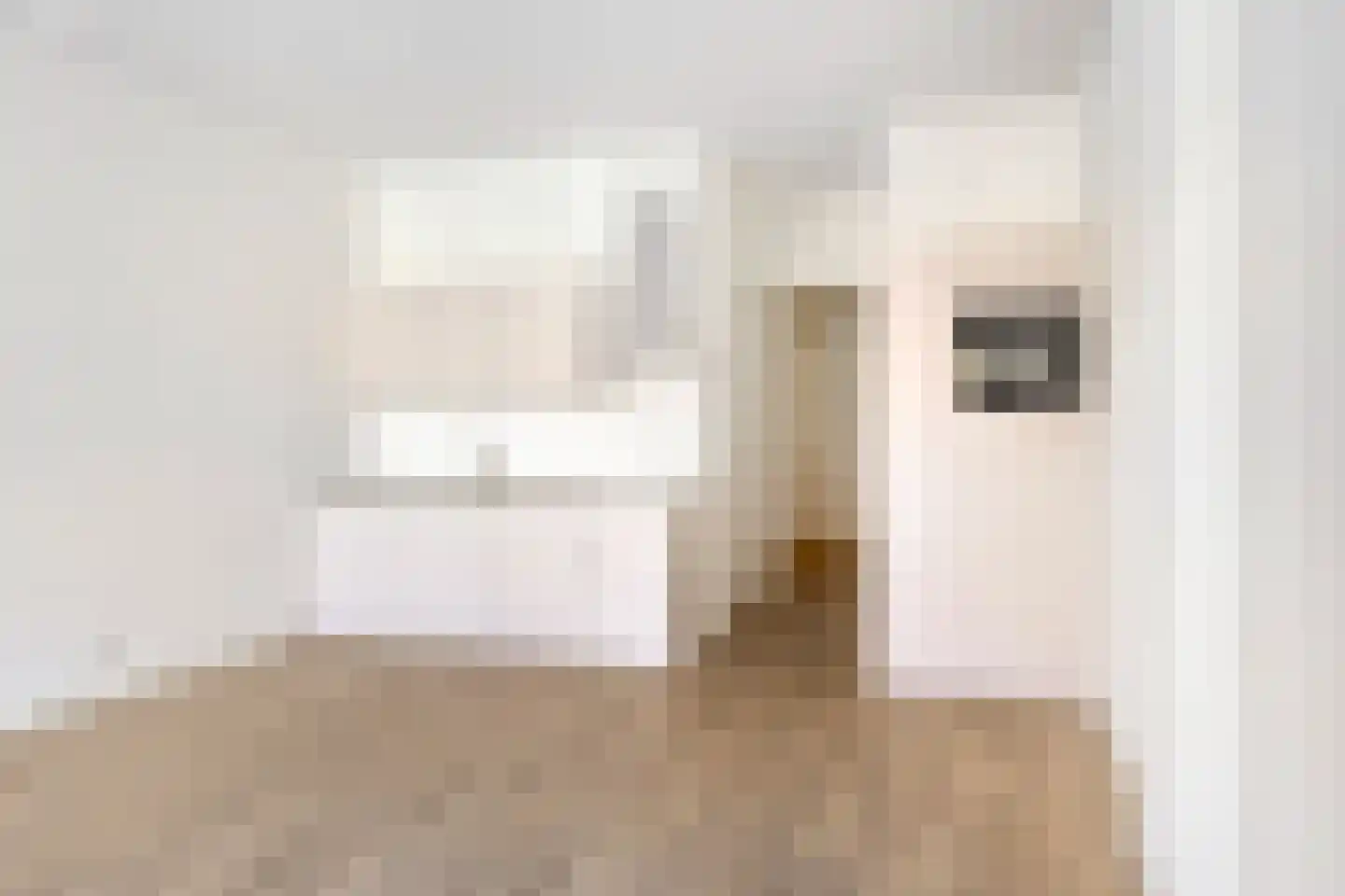 Bredalaan 57 Eindhoven thumbnail 7