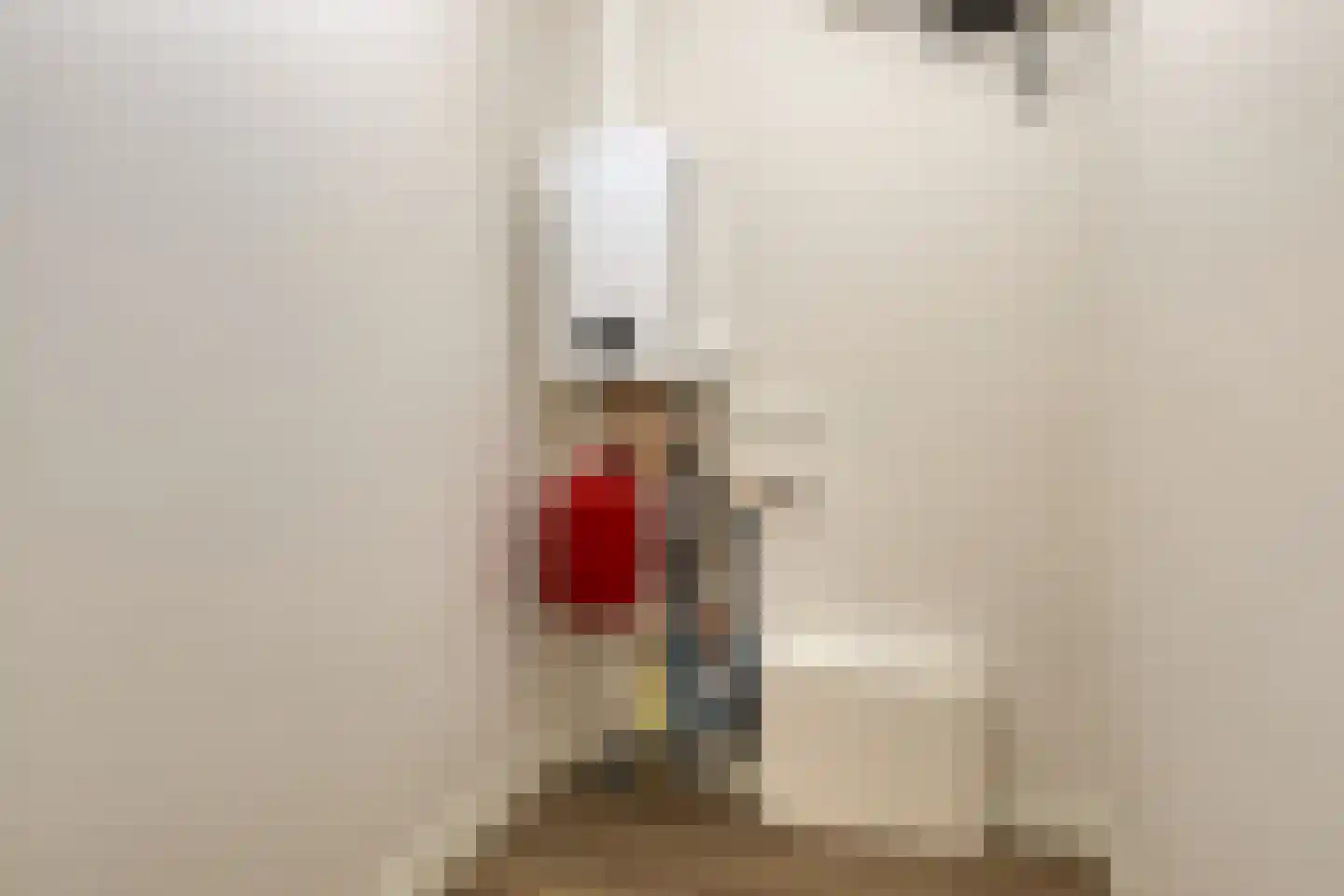 Bredalaan 57 Eindhoven thumbnail 9