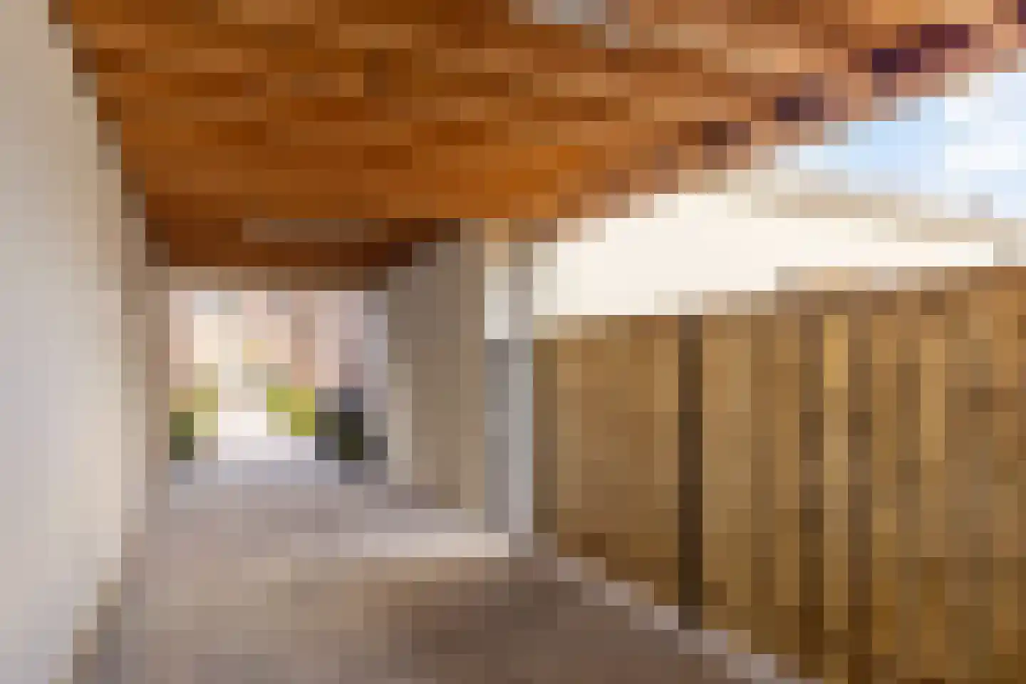 Bredalaan 57 Eindhoven thumbnail 24