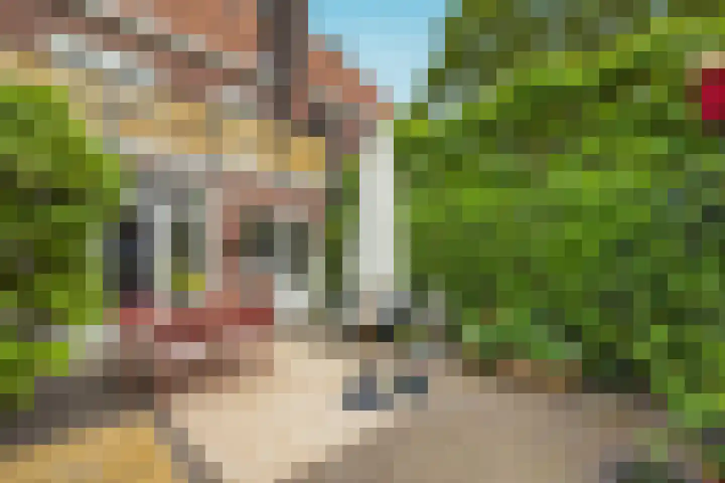 Bredalaan 81 Eindhoven thumbnail 19