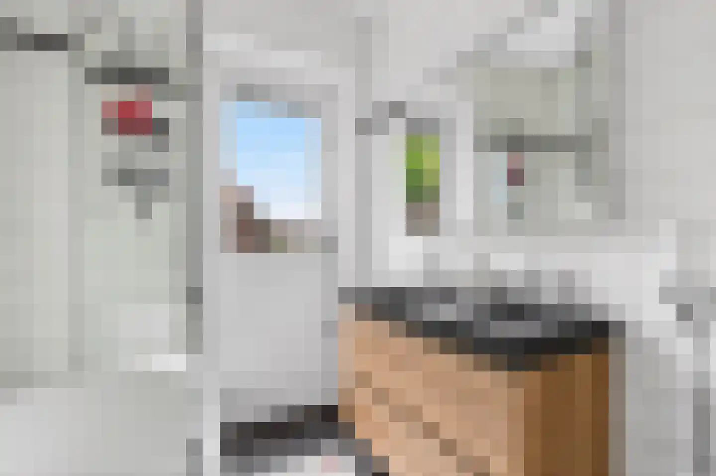 Bredalaan 81 Eindhoven thumbnail 27