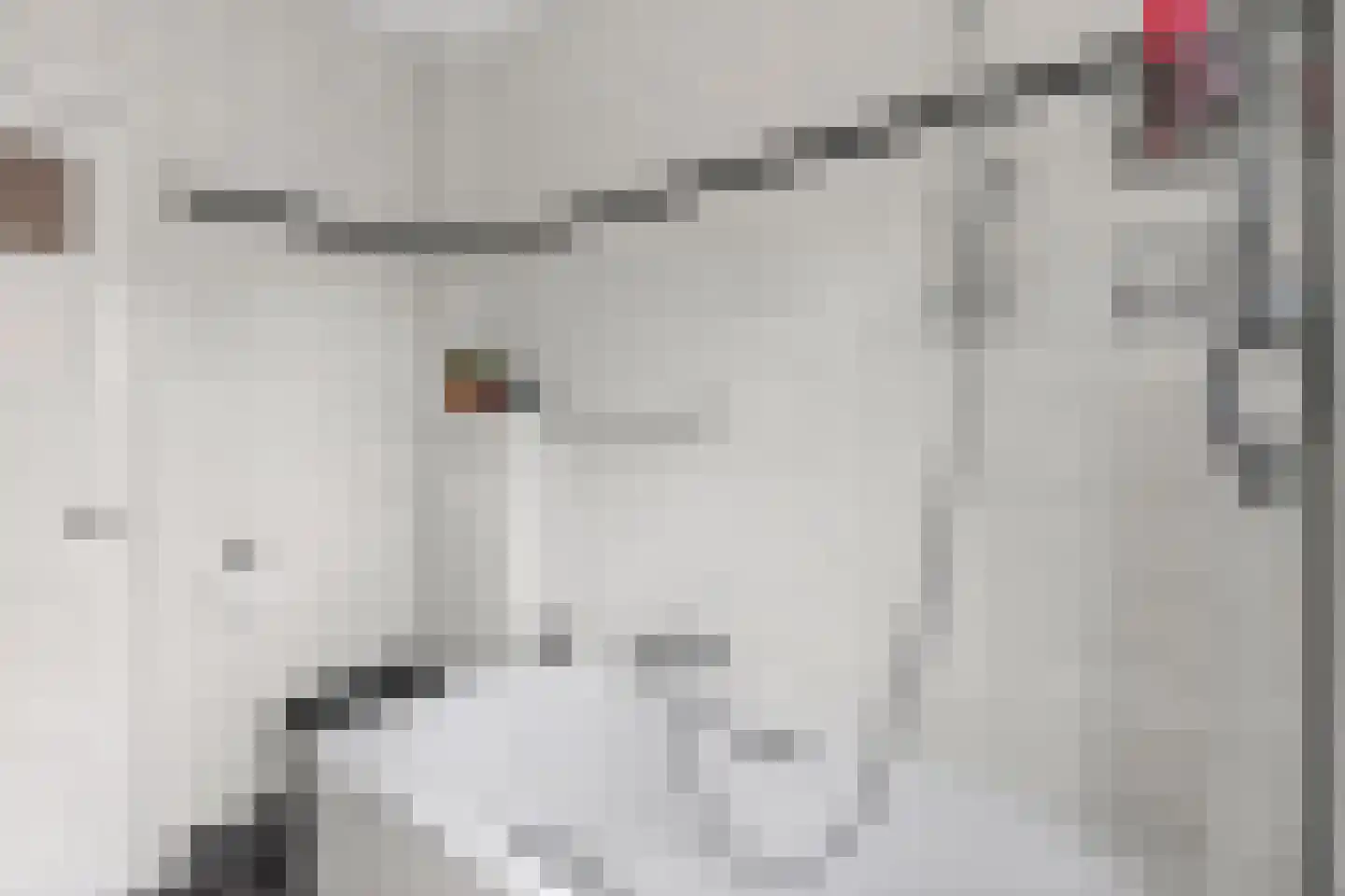 Bredalaan 81 Eindhoven thumbnail 28