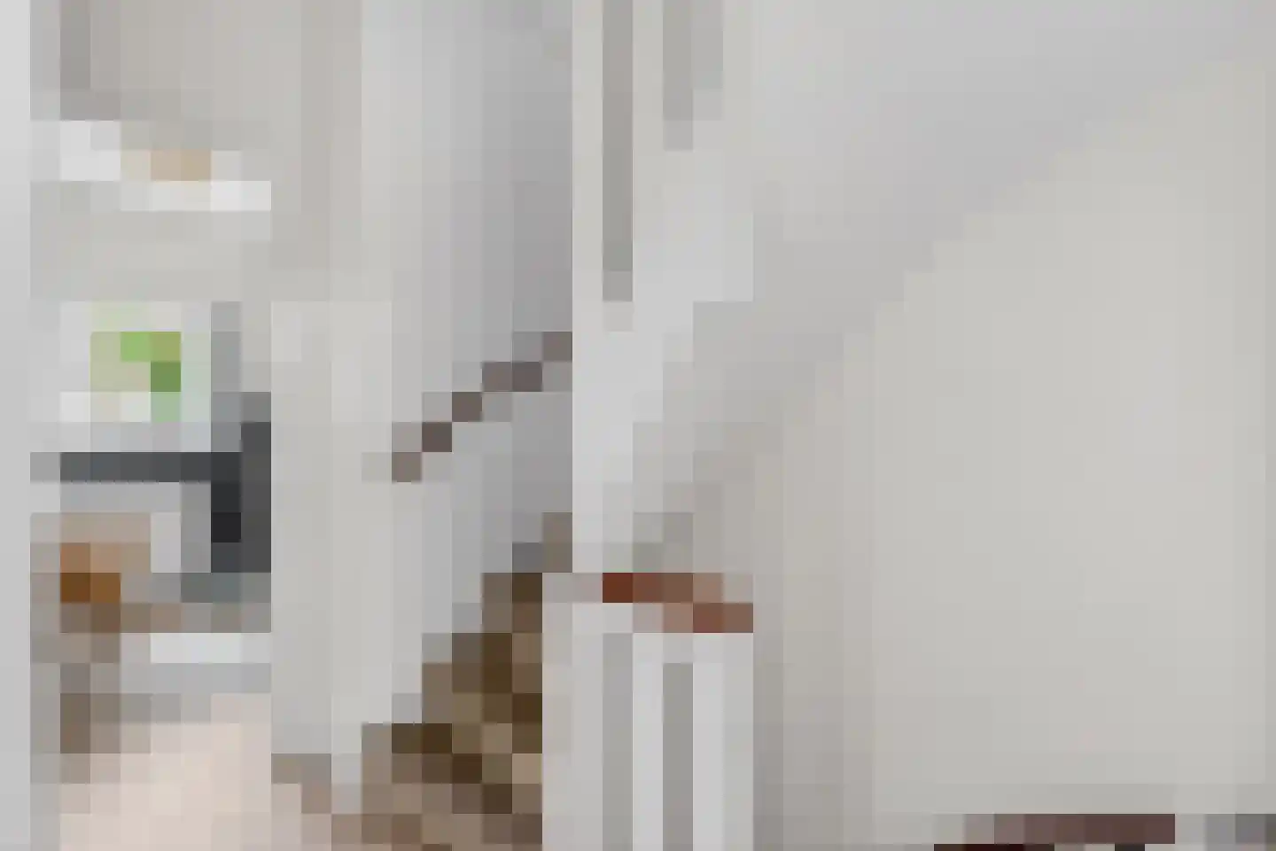 Bredalaan 81 Eindhoven thumbnail 31