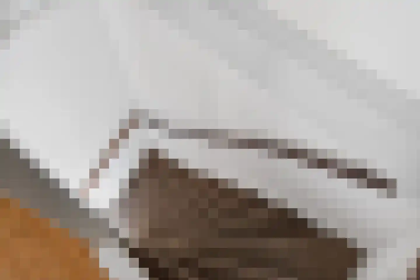Bredalaan 81 Eindhoven thumbnail 32