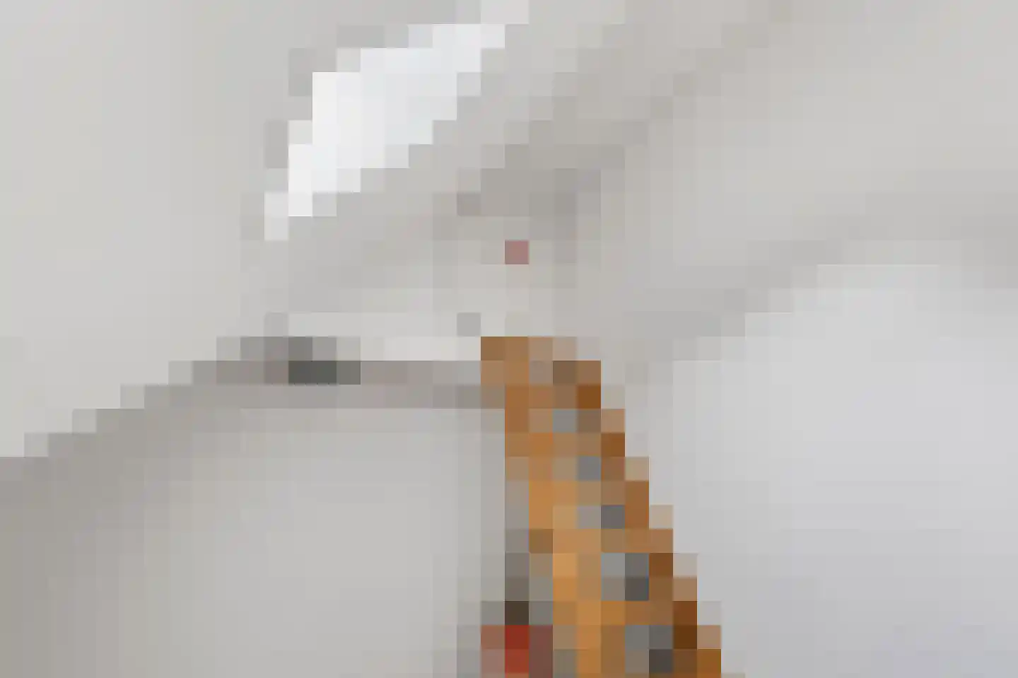 Bredalaan 81 Eindhoven thumbnail 35