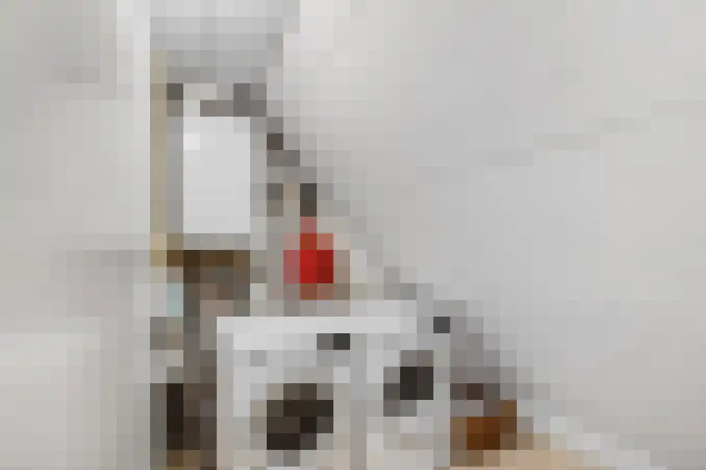 Bredalaan 81 Eindhoven thumbnail 39