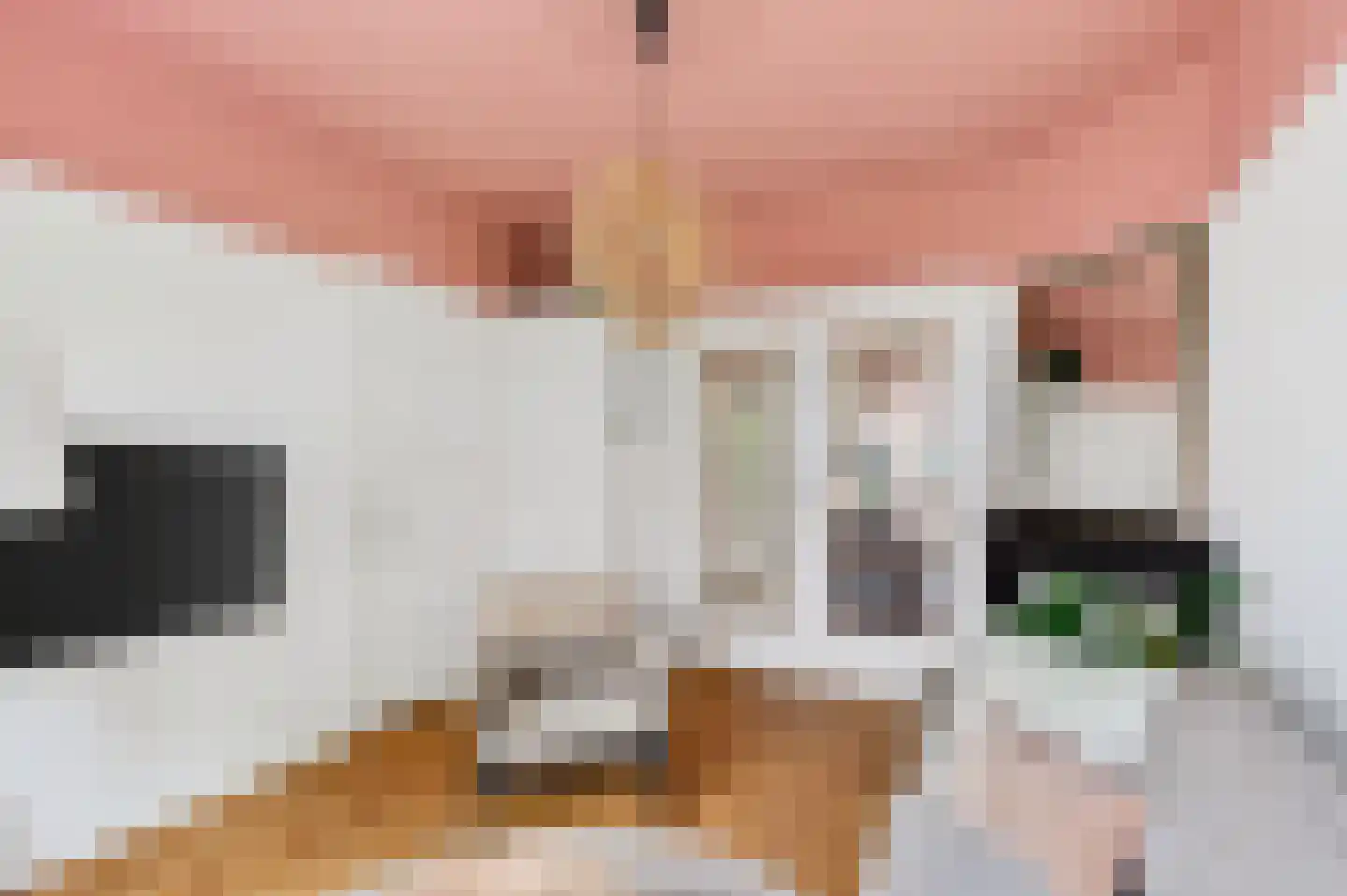 Bredalaan 81 Eindhoven thumbnail 9