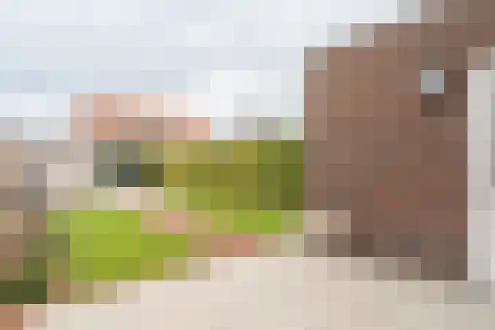 Bredam 13 Kruiningen thumbnail 31