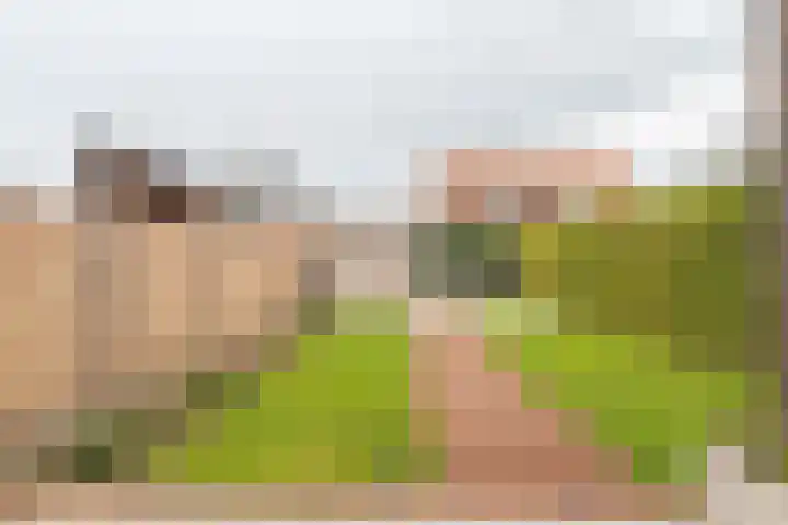 Bredam 13 Kruiningen thumbnail 32
