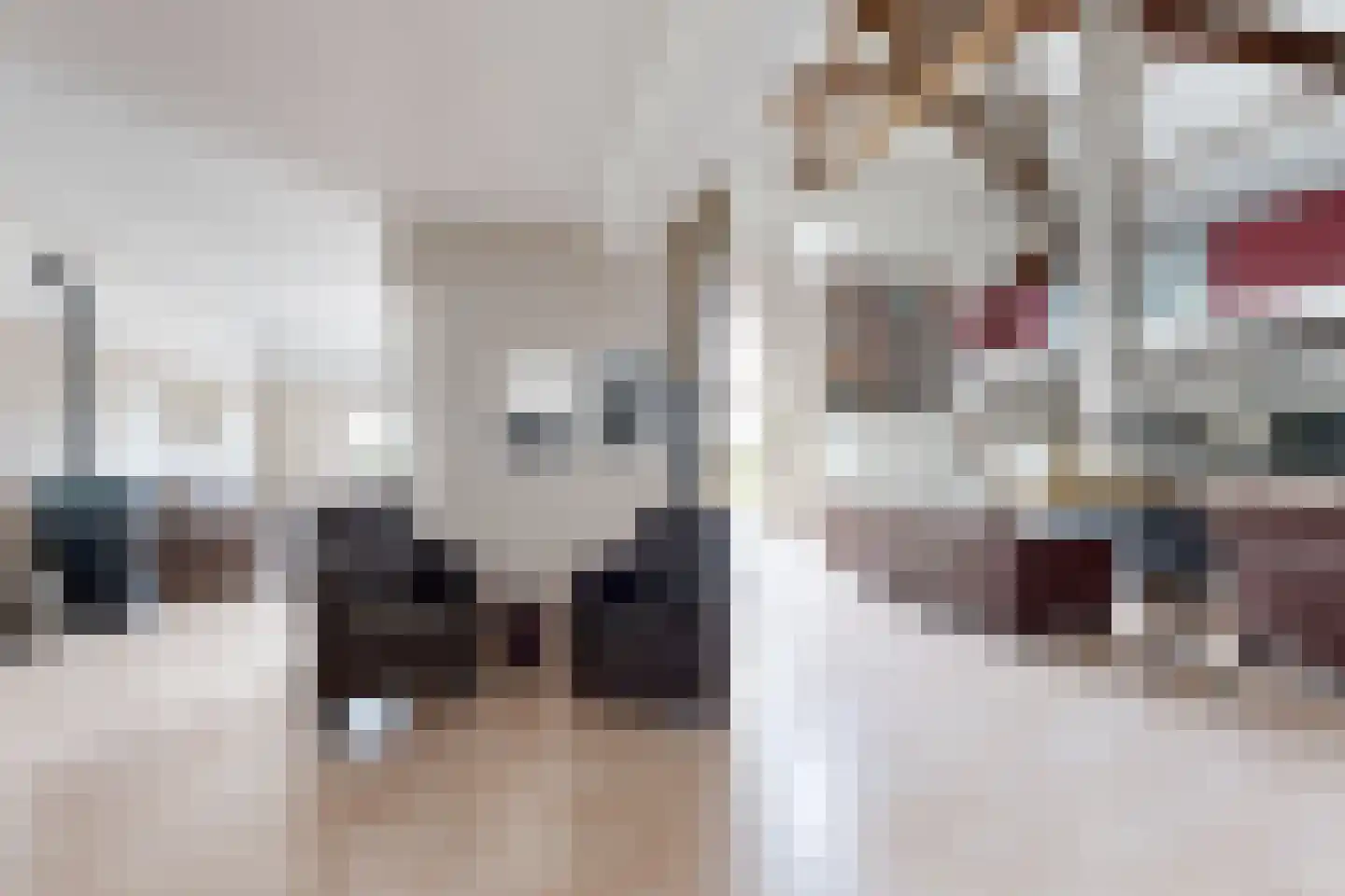 Bredaschedijk 2 Zevenbergschen Hoek thumbnail 10