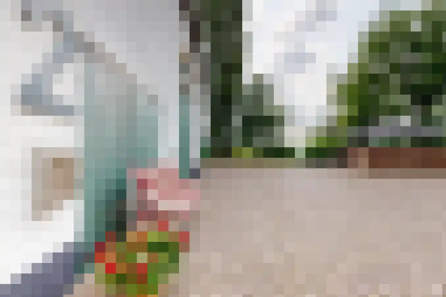 Bredaschedijk 2 Zevenbergschen Hoek thumbnail 102