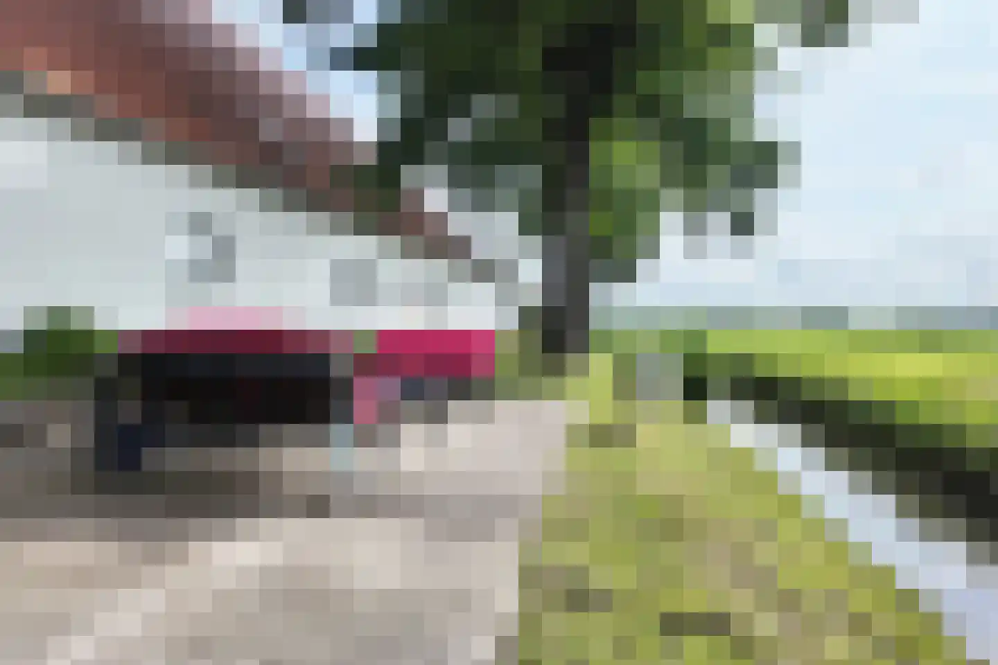 Bredaschedijk 2 Zevenbergschen Hoek thumbnail 107