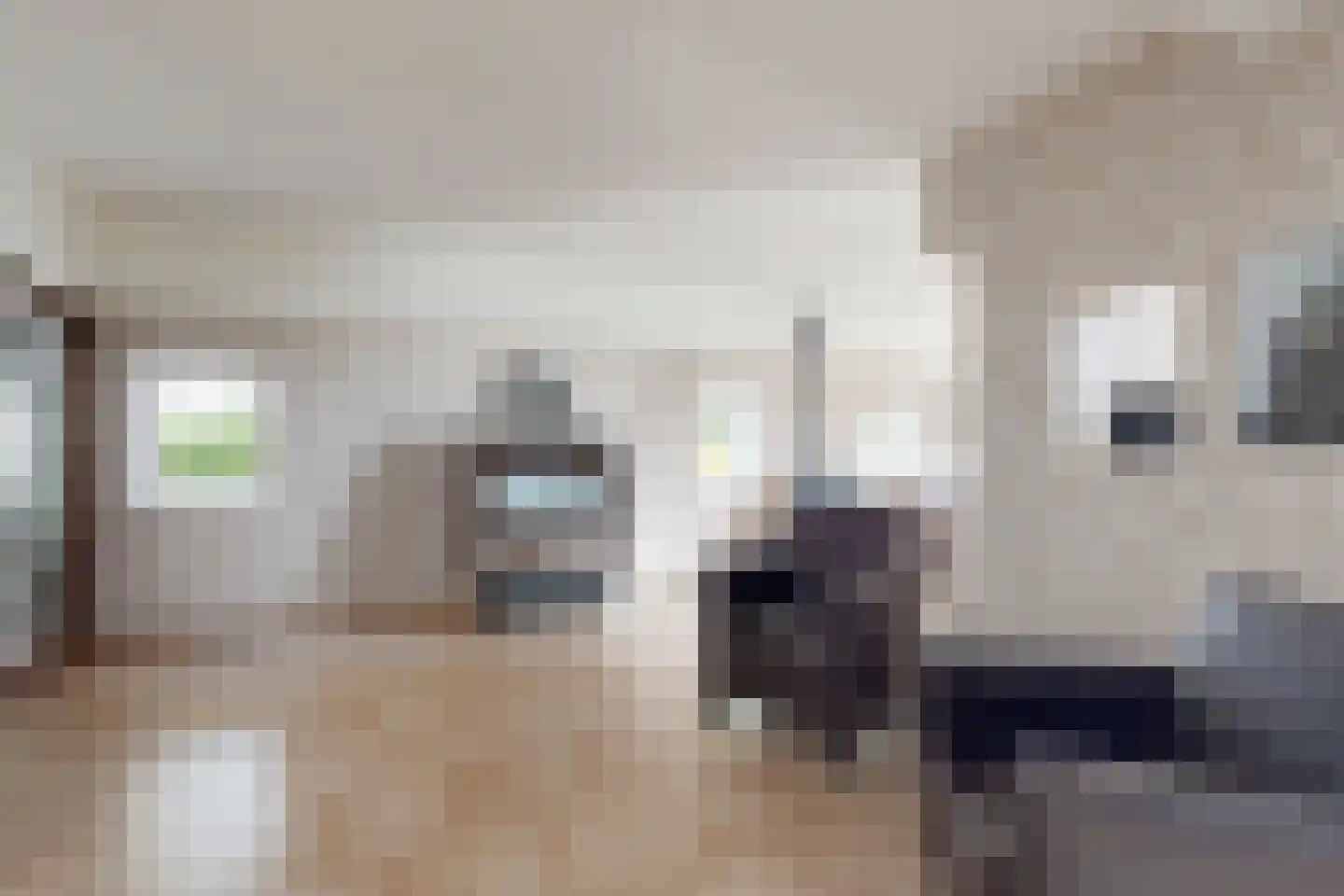 Bredaschedijk 2 Zevenbergschen Hoek thumbnail 12