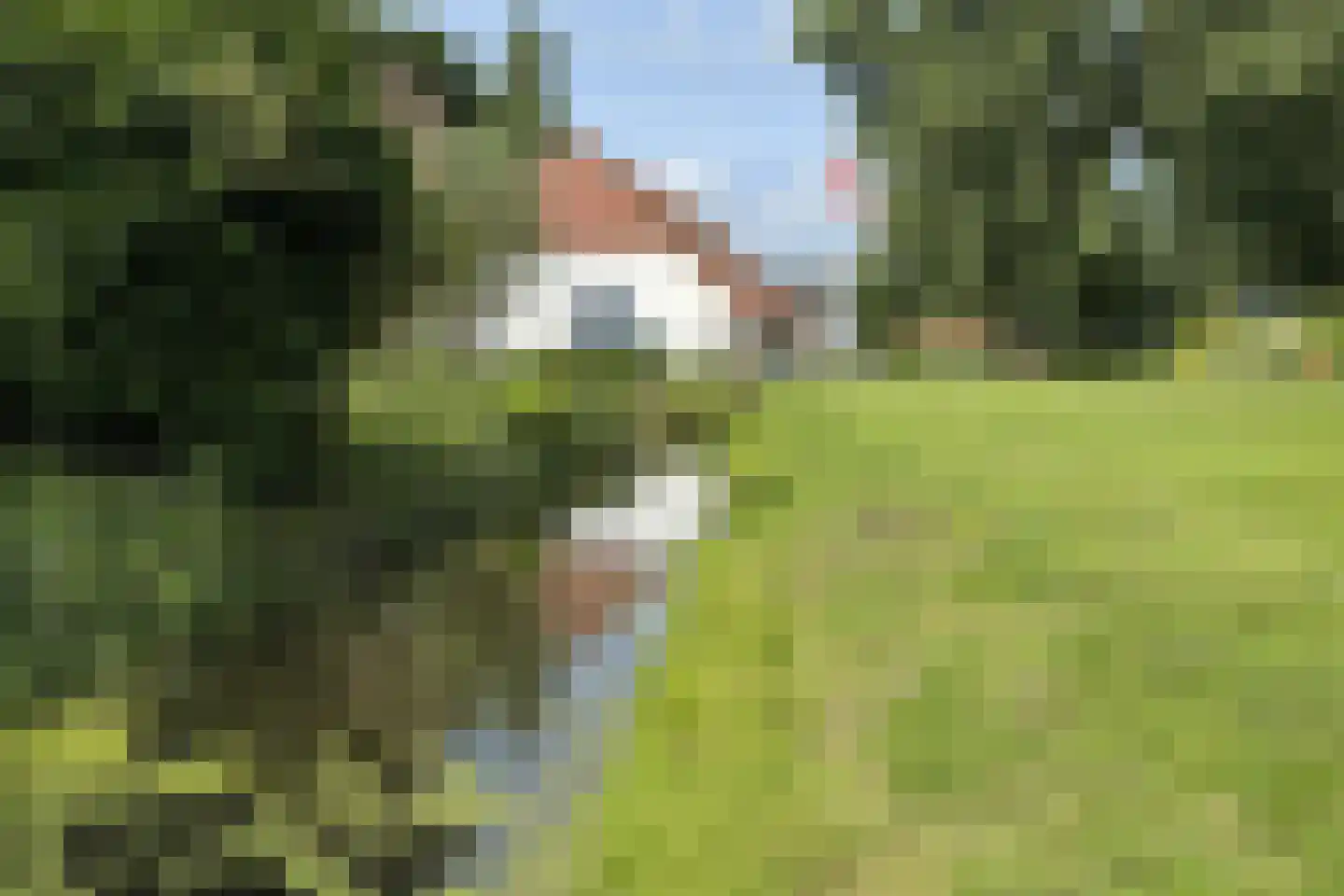 Bredaschedijk 2 Zevenbergschen Hoek thumbnail 124