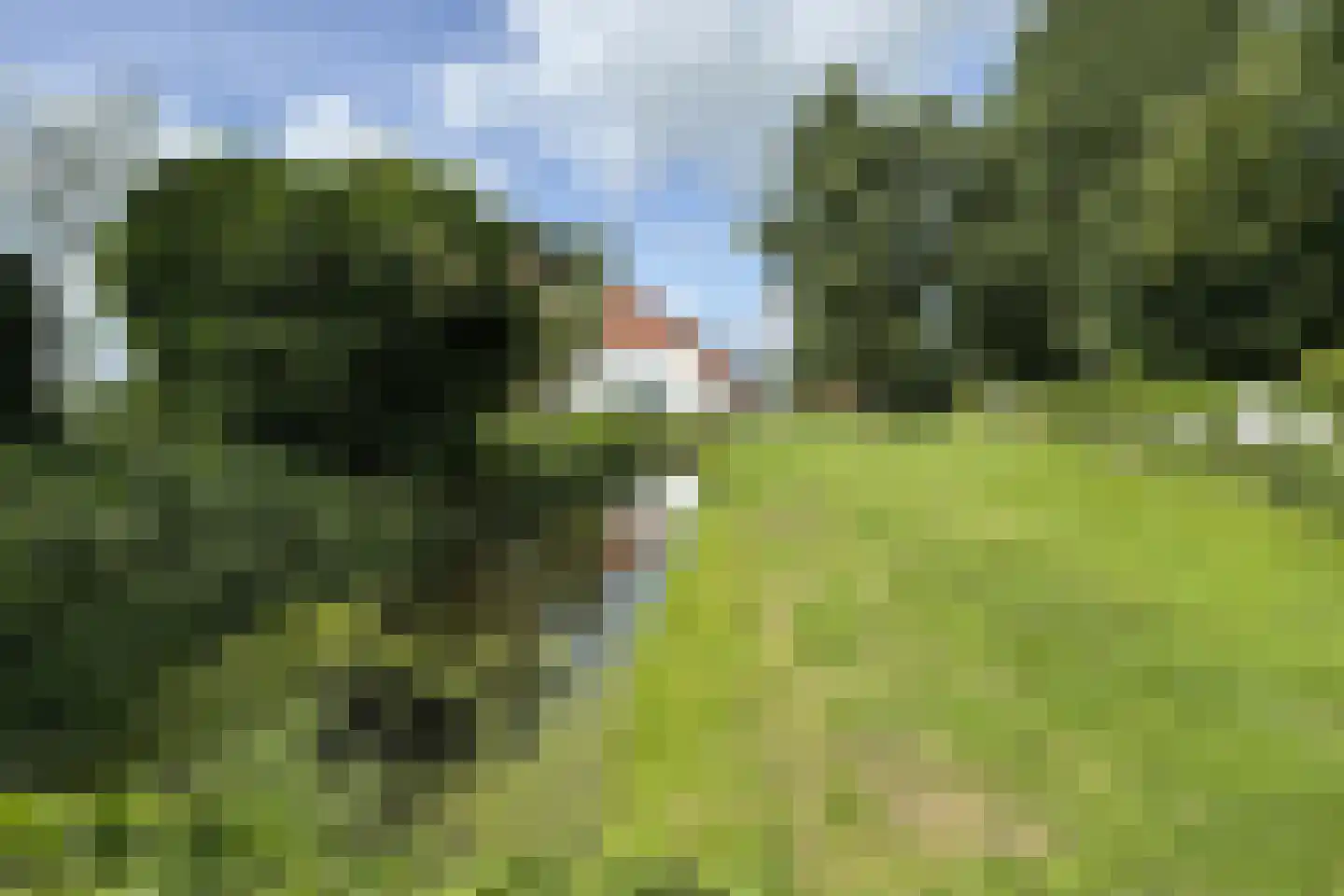 Bredaschedijk 2 Zevenbergschen Hoek thumbnail 125
