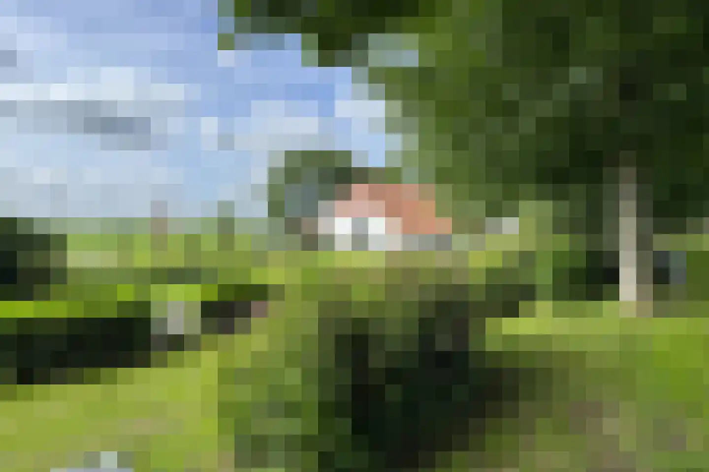 Bredaschedijk 2 Zevenbergschen Hoek thumbnail 126