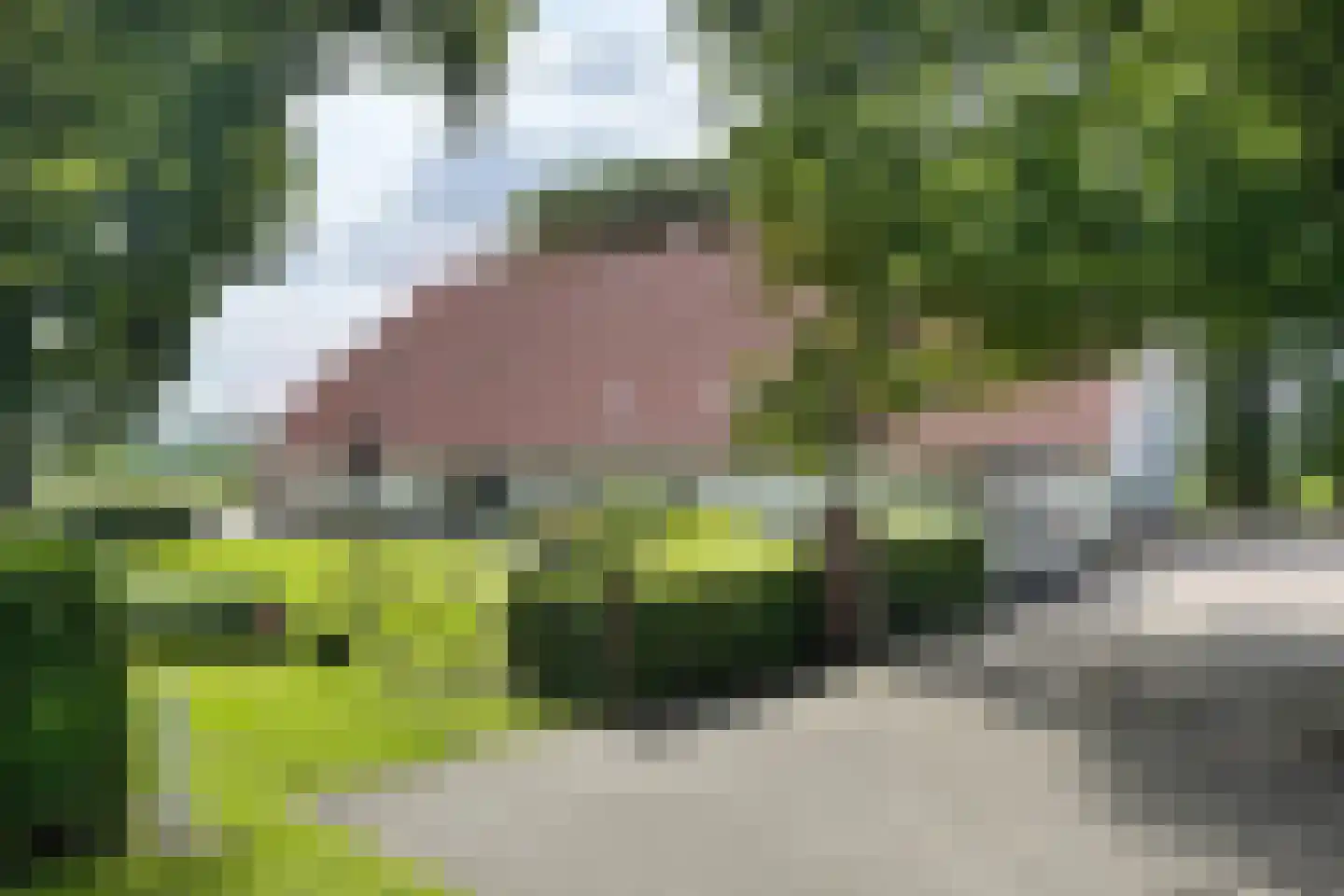 Bredaschedijk 2 Zevenbergschen Hoek thumbnail 127