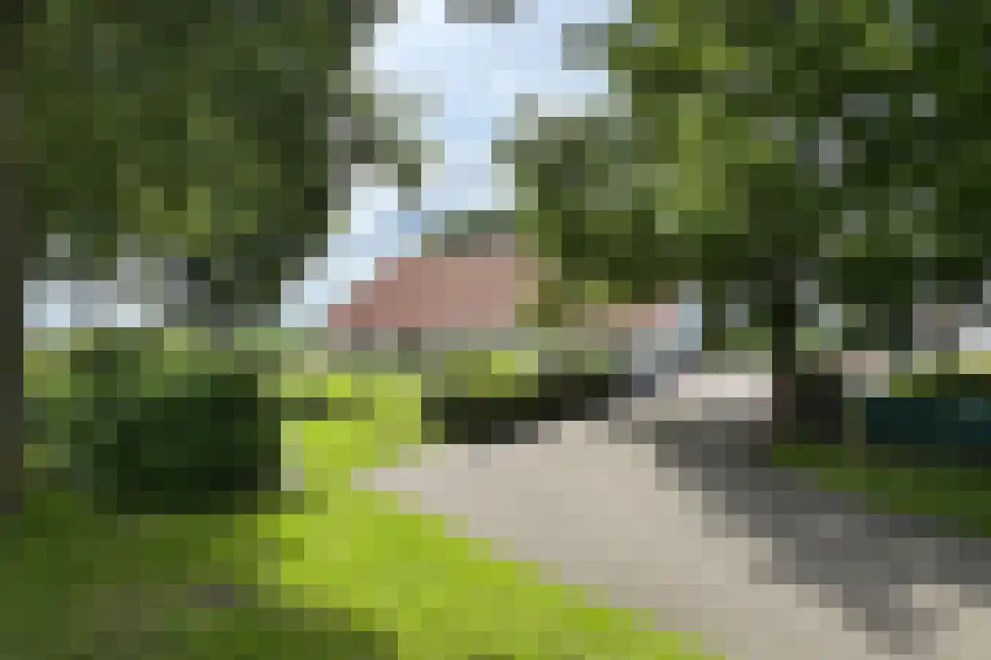Bredaschedijk 2 Zevenbergschen Hoek thumbnail 128