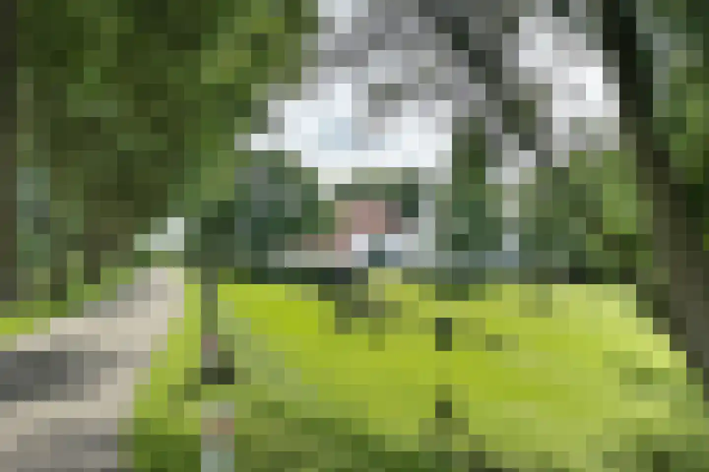 Bredaschedijk 2 Zevenbergschen Hoek thumbnail 137