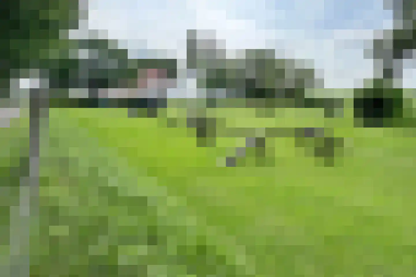 Bredaschedijk 2 Zevenbergschen Hoek thumbnail 139