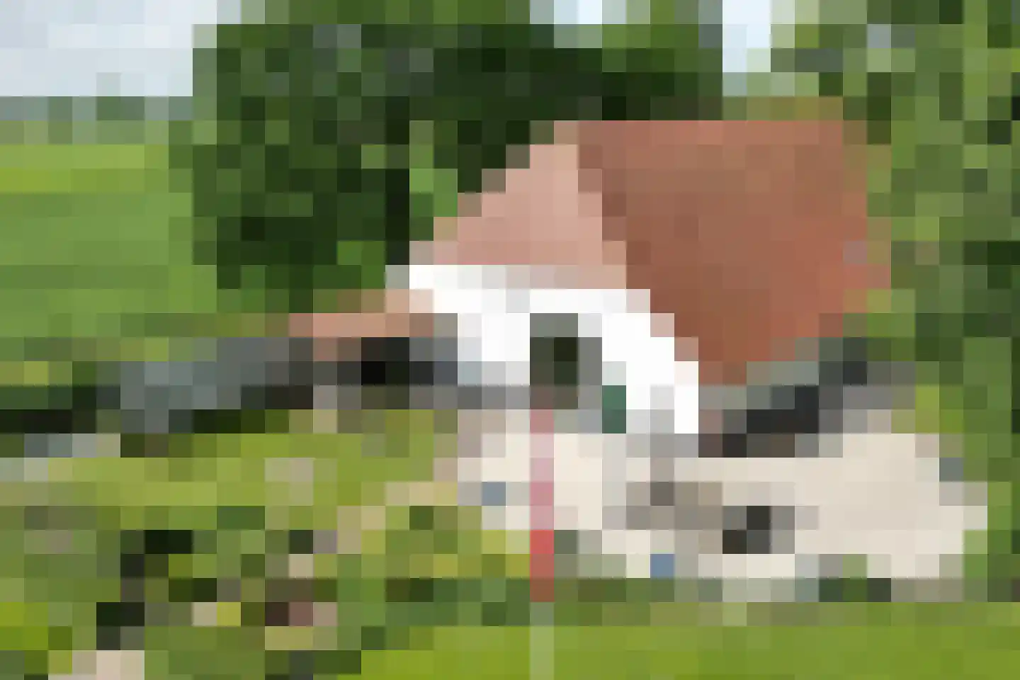 Bredaschedijk 2 Zevenbergschen Hoek thumbnail 141