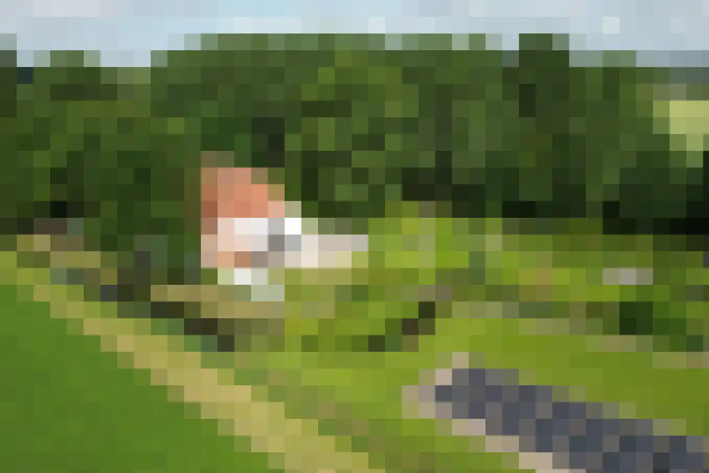 Bredaschedijk 2 Zevenbergschen Hoek thumbnail 143