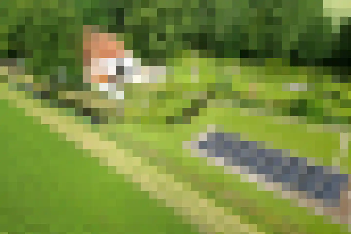 Bredaschedijk 2 Zevenbergschen Hoek thumbnail 144