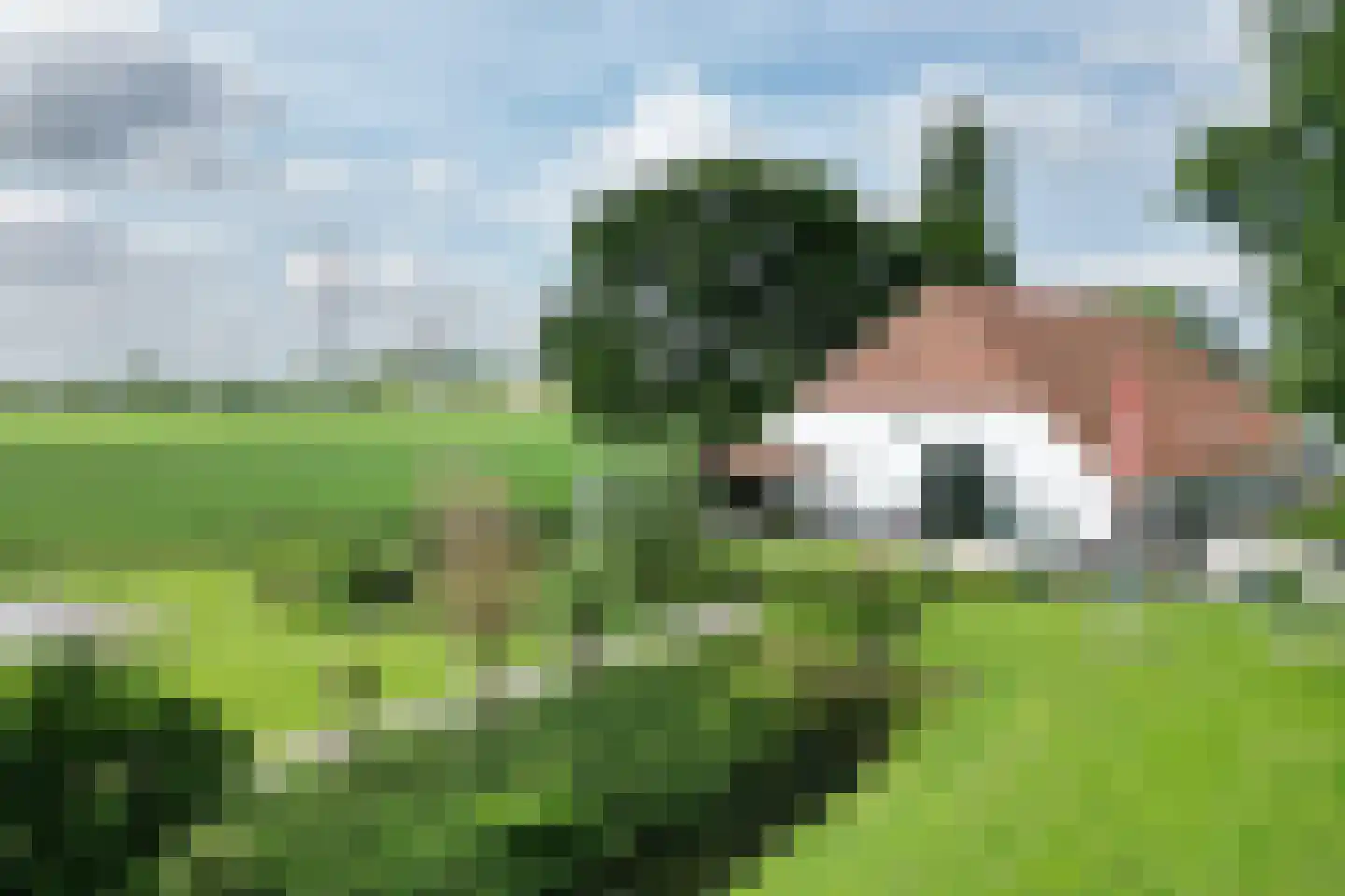 Bredaschedijk 2 Zevenbergschen Hoek thumbnail 145