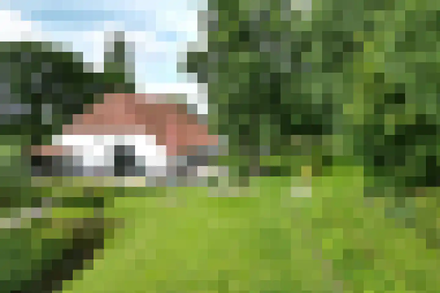 Bredaschedijk 2 Zevenbergschen Hoek thumbnail 146