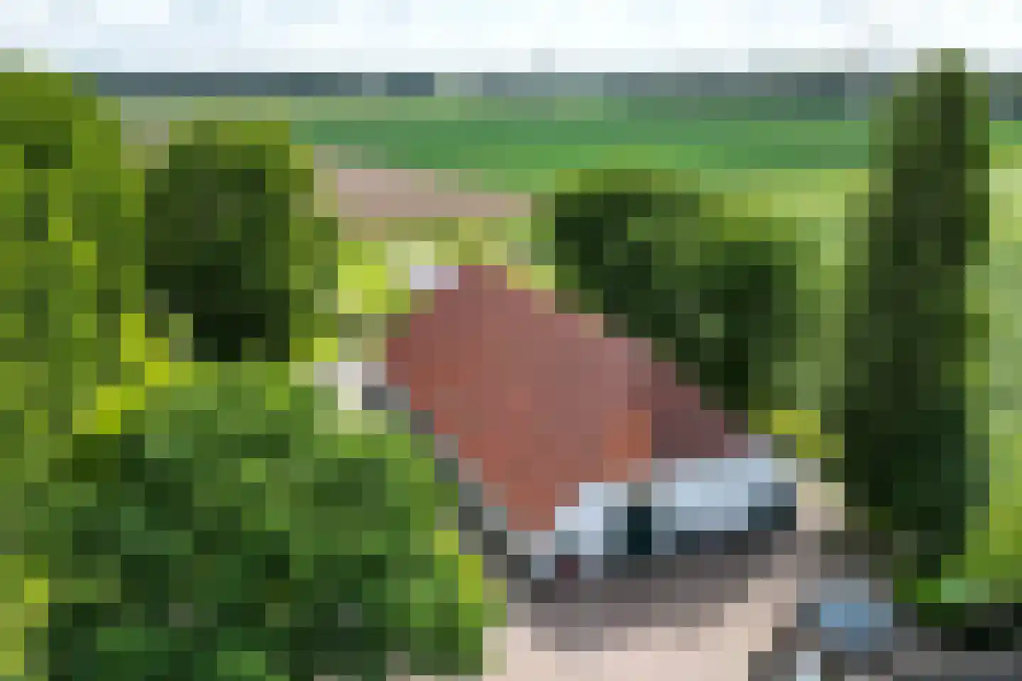 Bredaschedijk 2 Zevenbergschen Hoek thumbnail 149